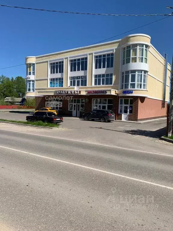Торговая площадь в Московская область, Раменский муниципальный округ, ... - Фото 0