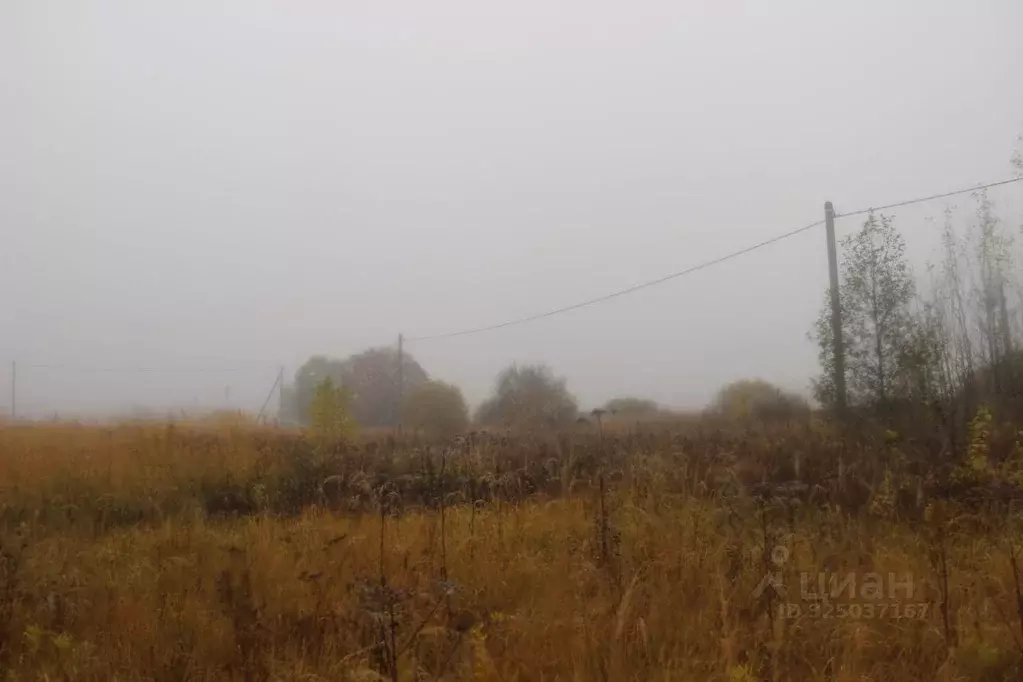 Участок в Московская область, Шаховская муниципальный округ, д. ... - Фото 1