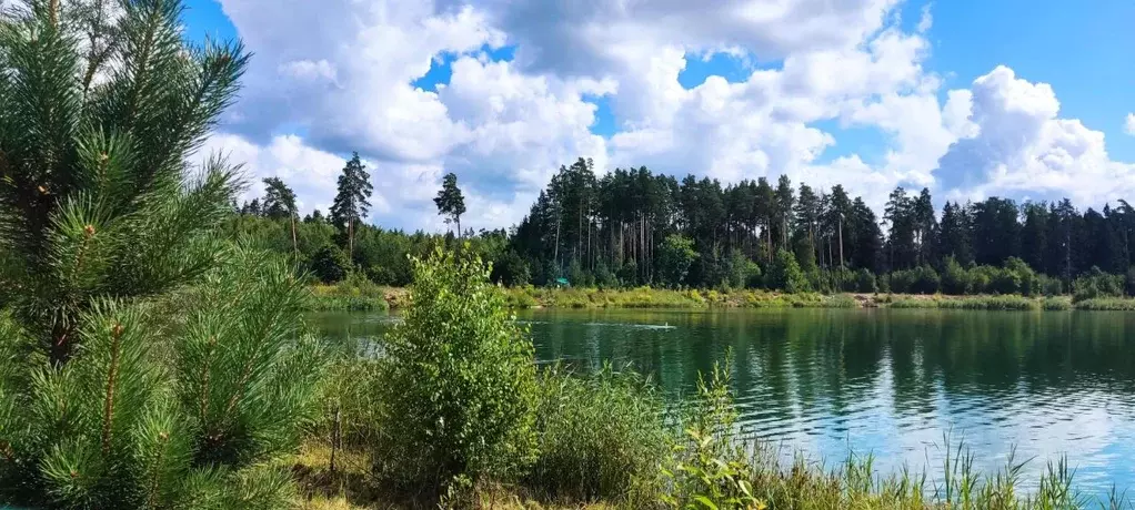 Участок в Калининградская область, Неманский муниципальный округ, пос. ... - Фото 1