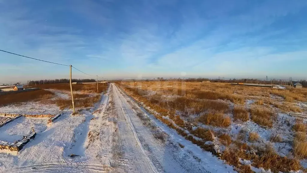 Участок в Тюменская область, Тюменский район, с. Борки  (15.0 сот.) - Фото 0