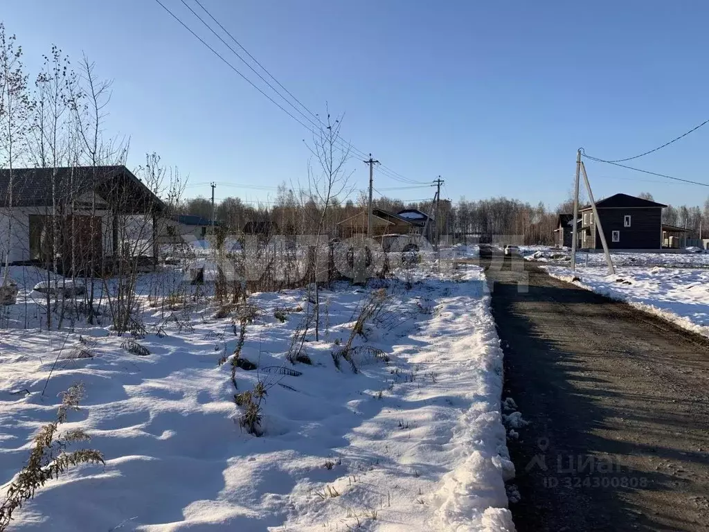 Участок в Новосибирская область, Новосибирский район, Барышевский ... - Фото 2