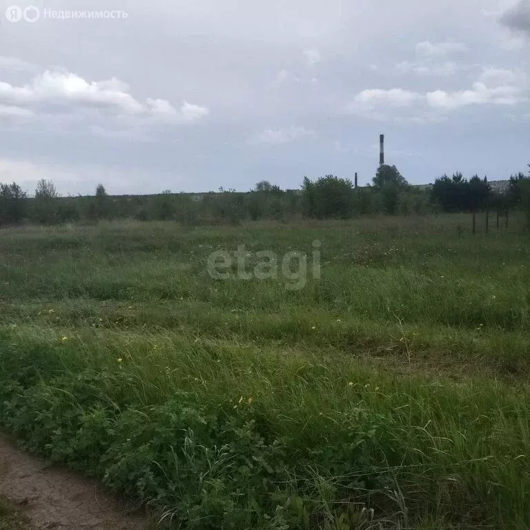 Участок в Сарапул, Центральный жилой район, улица Романова (12 м) - Фото 0