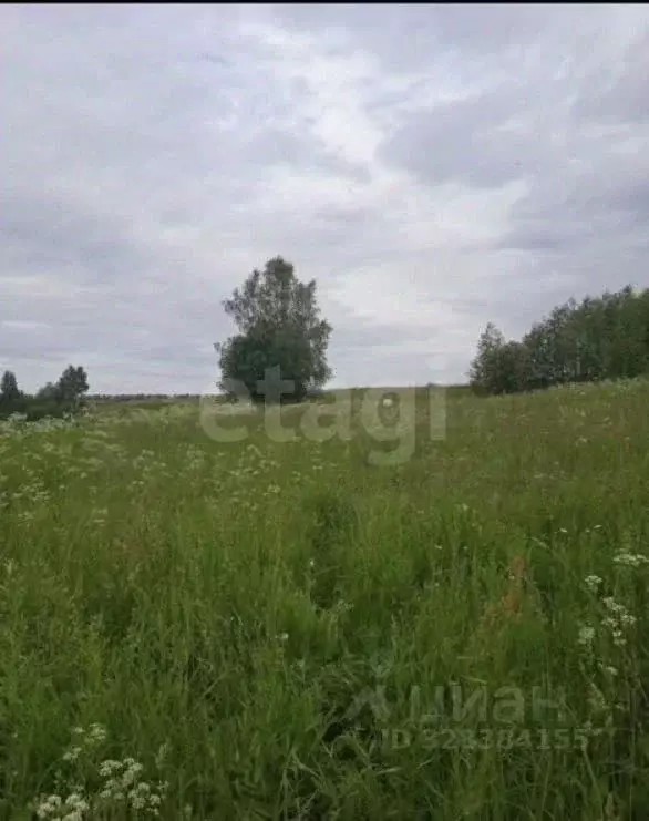 Участок в Ярославская область, Ярославский муниципальный округ, д. ... - Фото 2