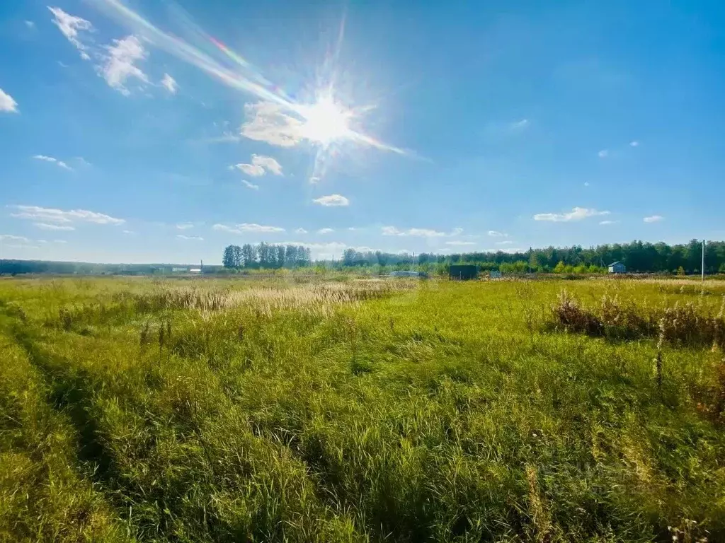 Участок в Челябинская область, Сосновский муниципальный округ, Жилая ... - Фото 1