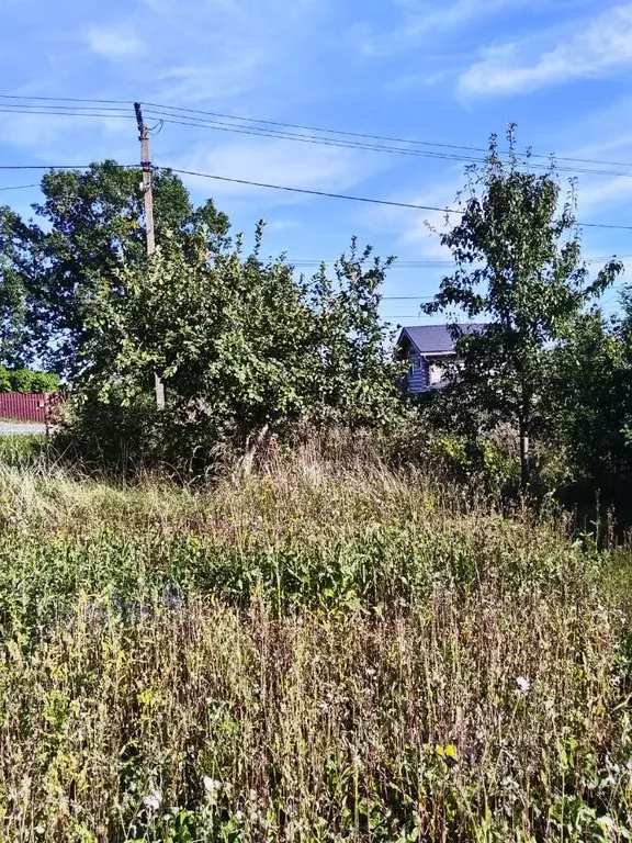 Участок в Ленинградская область, Ломоносовский район, д. Низино ... - Фото 1