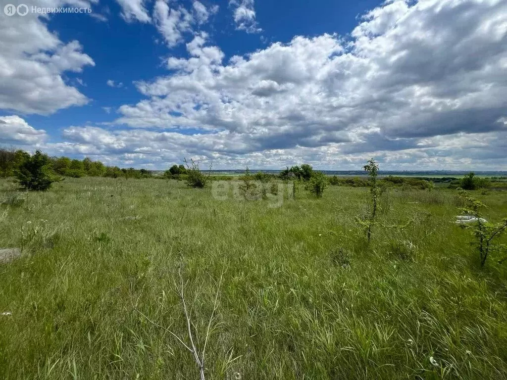 Участок в Рамонский район, село Русская Гвоздёвка, улица Левина (8.4 ... - Фото 1