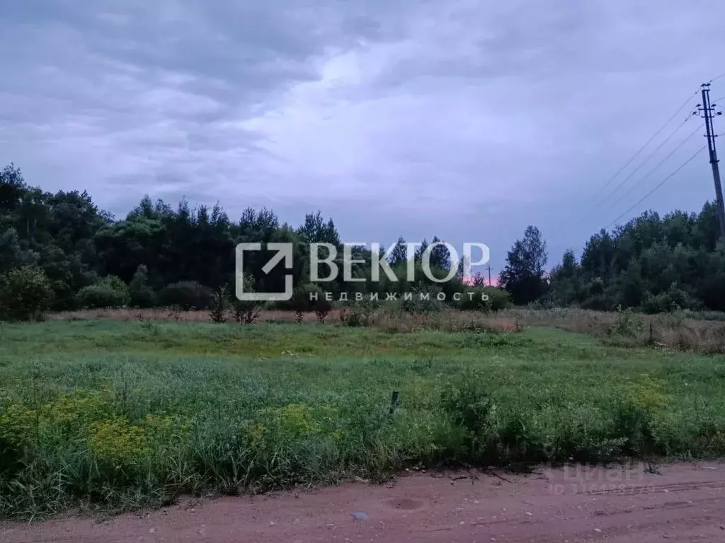 Участок в Костромская область, Костромской район, с. Сущево Советская ... - Фото 1