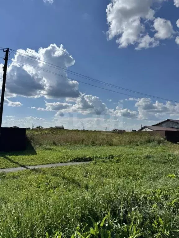 Участок в Ленинградская область, Волосовский район, д. Клопицы  (38.0 ... - Фото 1