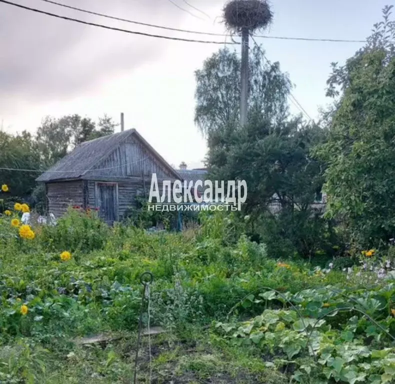 Участок в Ленинградская область, Гатчинский муниципальный округ, д. ... - Фото 1