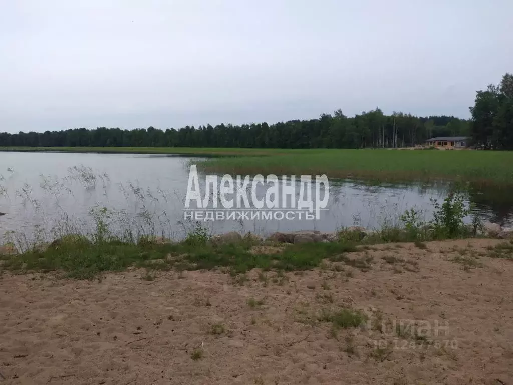 Участок в Ленинградская область, Приозерский район, Громовское с/пос, ... - Фото 0