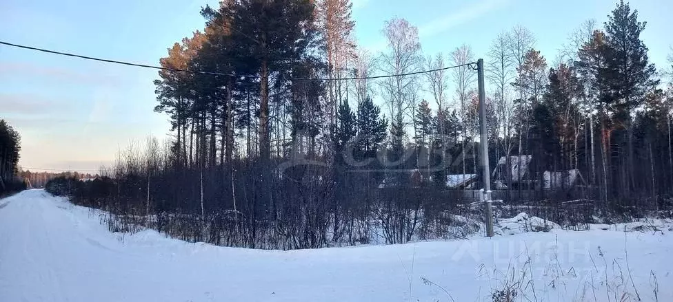 Участок в Тюменская область, Нижнетавдинский район, с. Тюнево ул. ... - Фото 0