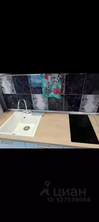 Студия Свердловская область, Верхняя Пышма ул. Петрова, 34 (30.0 м) - Фото 2