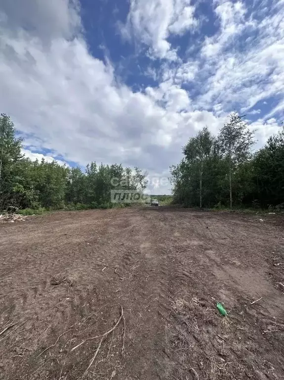 Участок в Марий Эл, Волжск Луговое-2 СНТ, 217 (6.0 сот.) - Фото 2