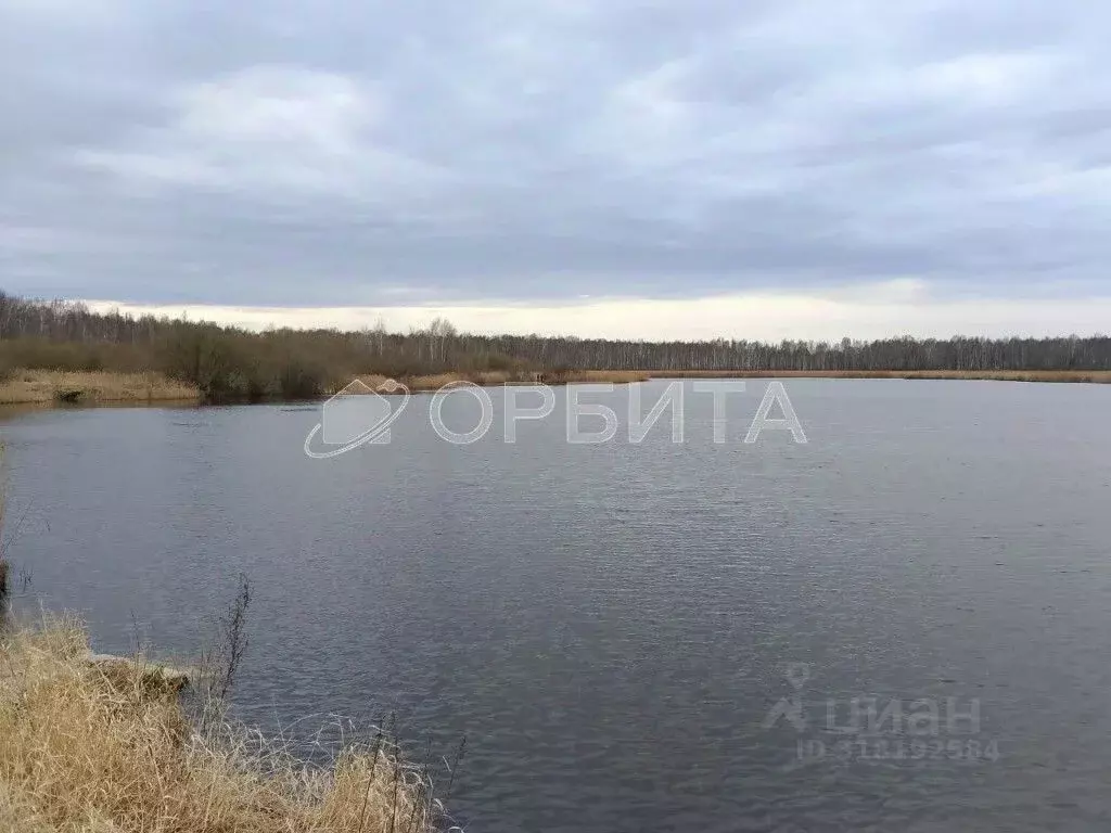 Участок в Тюменская область, Нижнетавдинский район, Ромашка СНТ ул. ... - Фото 0
