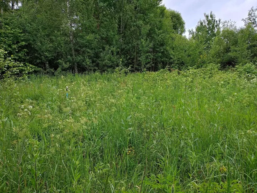 Участок в Московская область, Орехово-Зуевский городской округ, д. ... - Фото 0