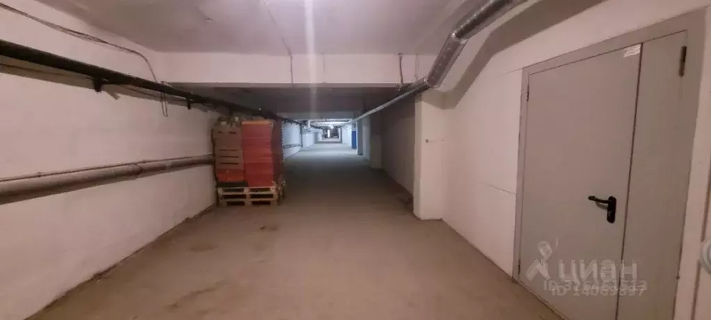 Помещение свободного назначения в Новосибирская область, Новосибирск ... - Фото 2