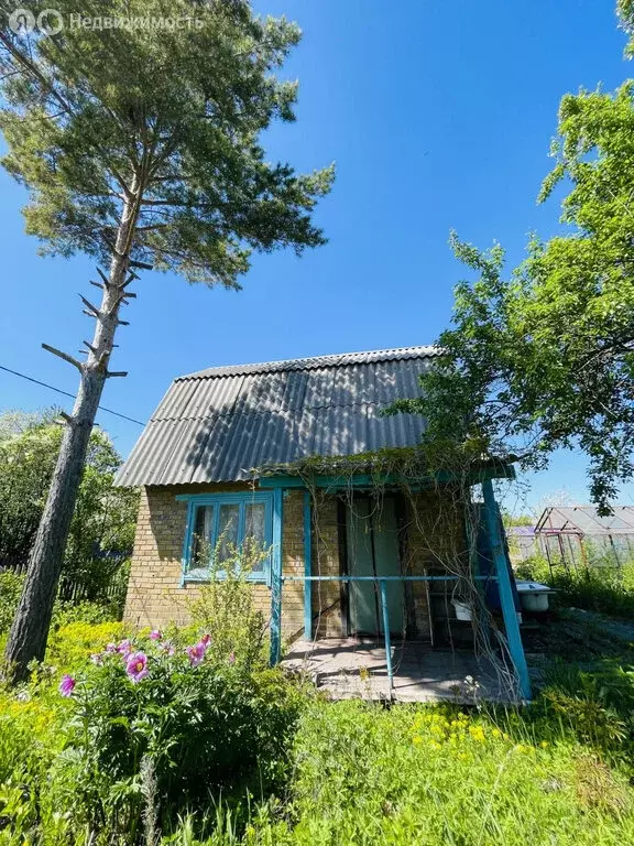 Дом в Челябинск, СНТ Дружба, 7-4298 (30 м) - Фото 1