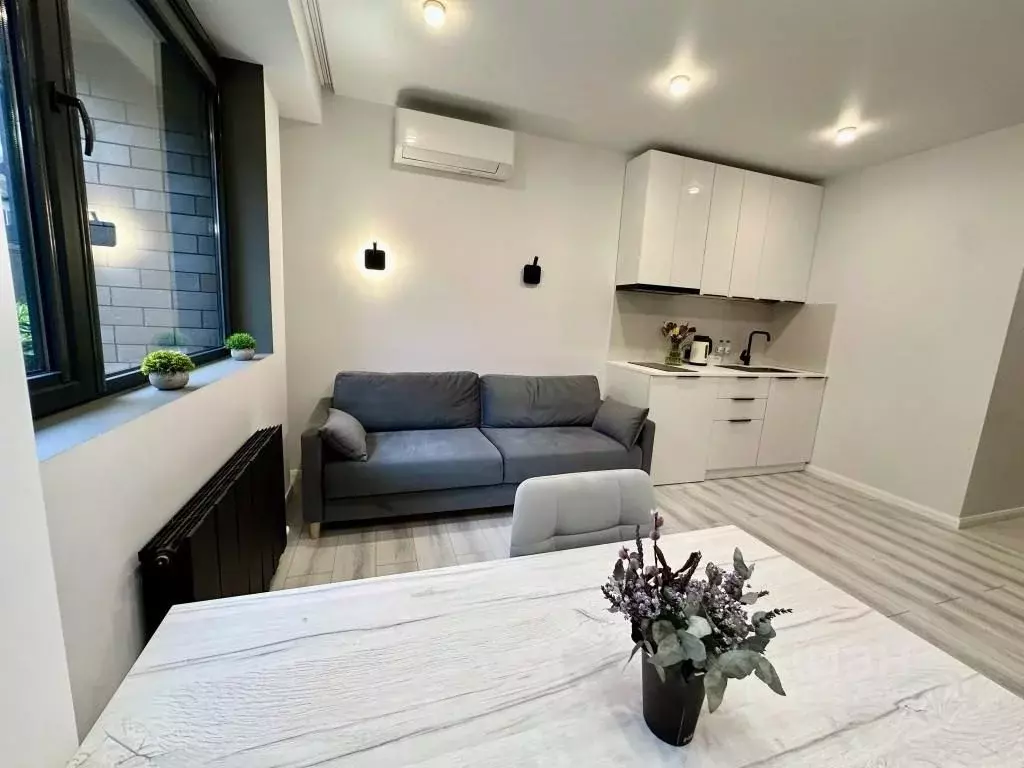 1-к кв. Краснодарский край, Сочи Курортный просп., 96Г (30.0 м) - Фото 2