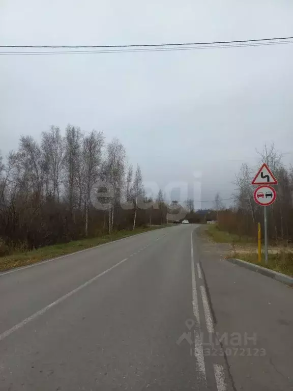 Участок в Тюменская область, Тюмень Лаванда садовое товарищество, ул. ... - Фото 2