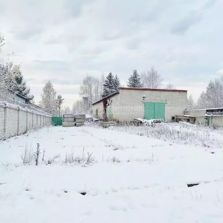 Помещение свободного назначения в Владимирская область, Покров ул. ... - Фото 1