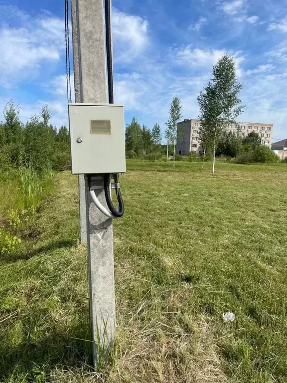 Участок в Новгородская область, Чудово ул. Черемуховая (12.0 сот.) - Фото 1