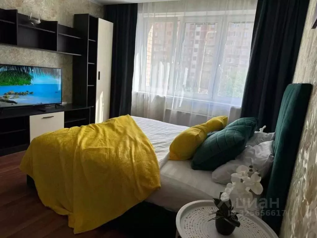 1-к кв. Московская область, Ногинск Богородский городской округ, ул. ... - Фото 2