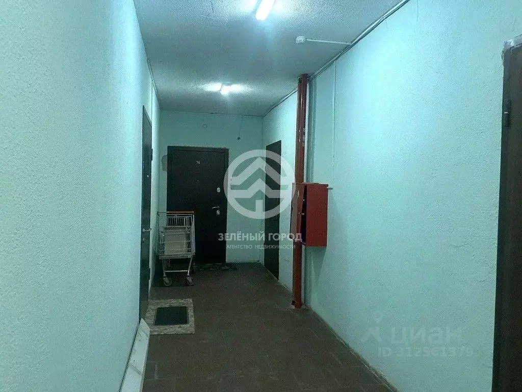 2-к кв. Московская область, Солнечногорск городской округ, пос. Жуково ... - Фото 2