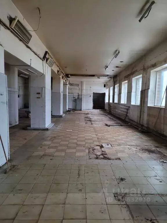 Помещение свободного назначения в Ленинградская область, Волосово ... - Фото 0