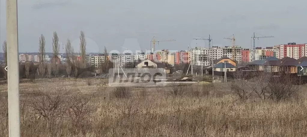 Участок в Белгородская область, Белгородский район, Дубовское с/пос, ... - Фото 0