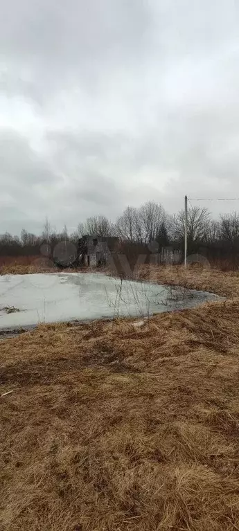 Участок 4,3 сот. (СНТ, ДНП) - Фото 0