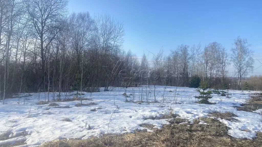 Участок в Московская область, Одинцовский городской округ, д. Борки  ... - Фото 2