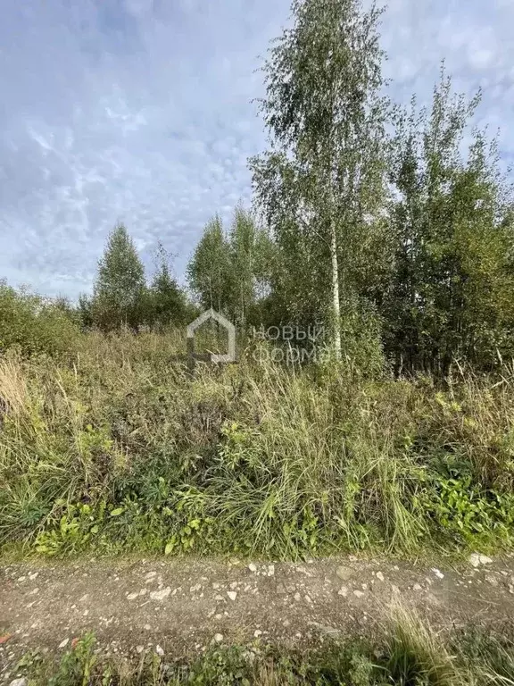 Участок в Московская область, Раменский муниципальный округ, Новое ... - Фото 2