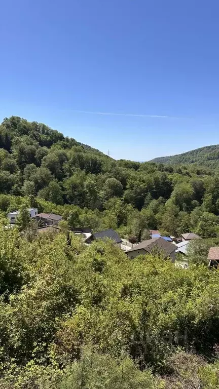 Участок в Краснодарский край, Сочи городской округ, с. Волковка  (6.0 ... - Фото 1