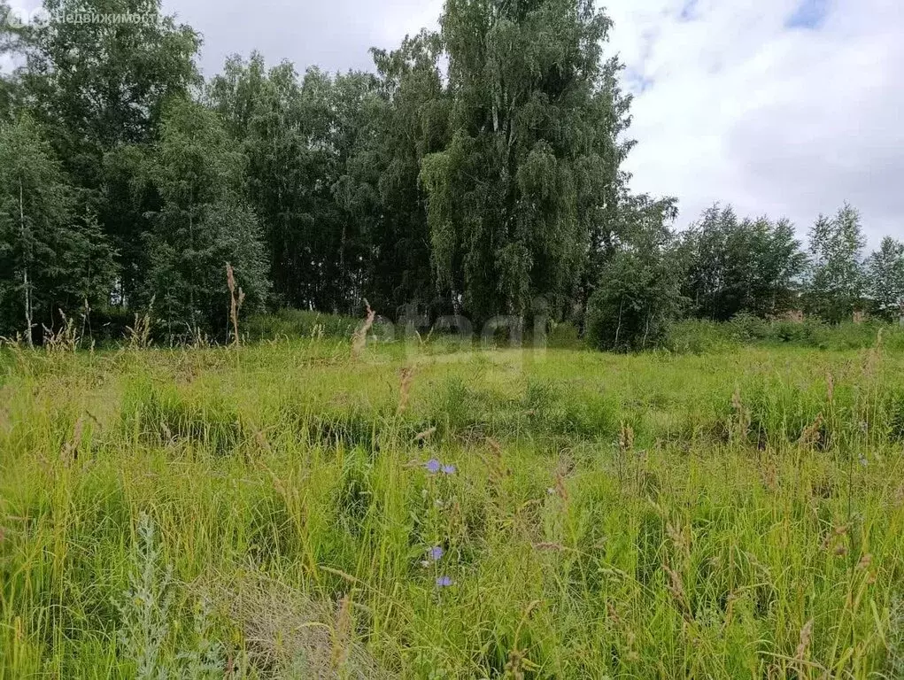 Участок в Новосибирская область, Бердск (10.4 м) - Фото 0
