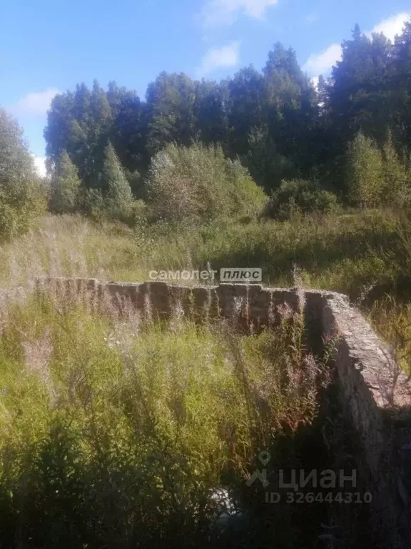 Участок в Владимирская область, Кольчугинский муниципальный округ, ... - Фото 1