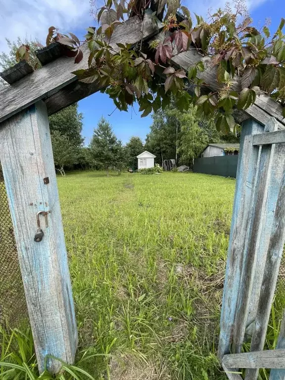 Дом в Московская область, Клин городской округ, Лесная Дача садовое ... - Фото 1