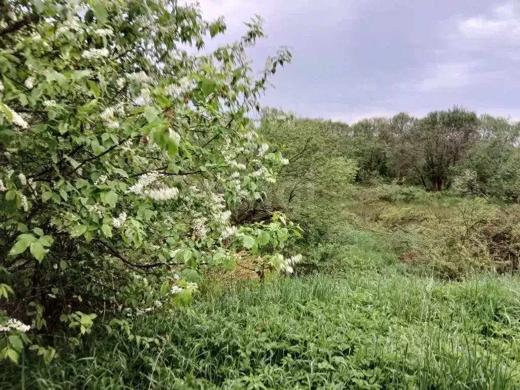 Участок в Ленинградская область, Волховский район, Пашское с/пос, д. ... - Фото 1