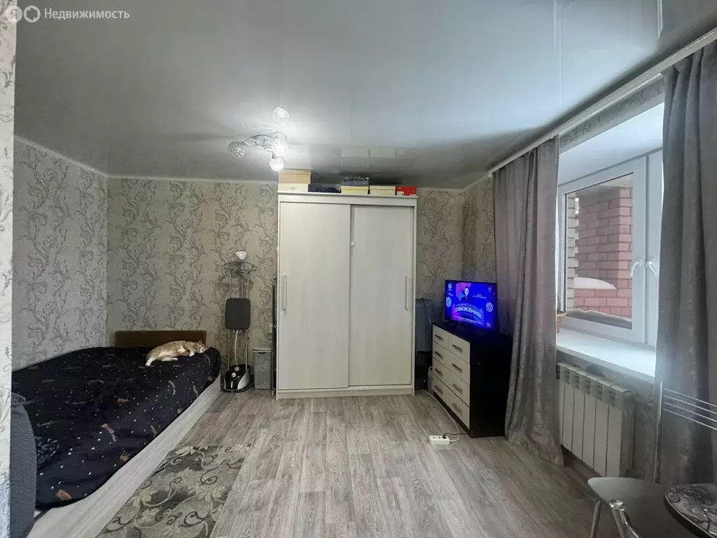 Квартира-студия: Вологда, улица Возрождения, 82А (28.4 м) - Фото 2