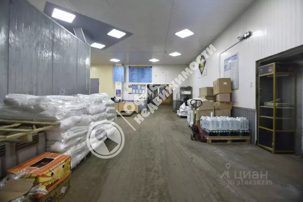 Производственное помещение в Пензенская область, Пенза ул. Антонова, ... - Фото 1