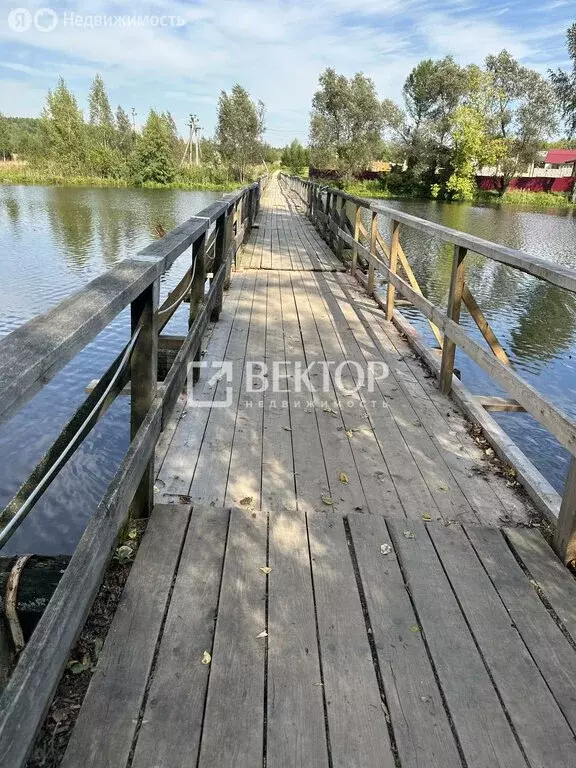 Дом в Афанасово, улица 1-я Линия, 22 (52.4 м) - Фото 0