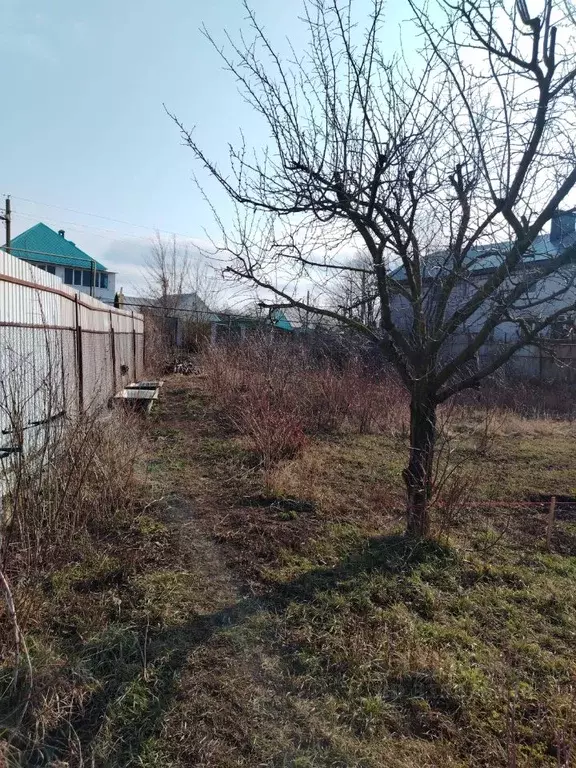 Участок в Липецкая область, Липецкий муниципальный округ, с. Введенка  ... - Фото 1