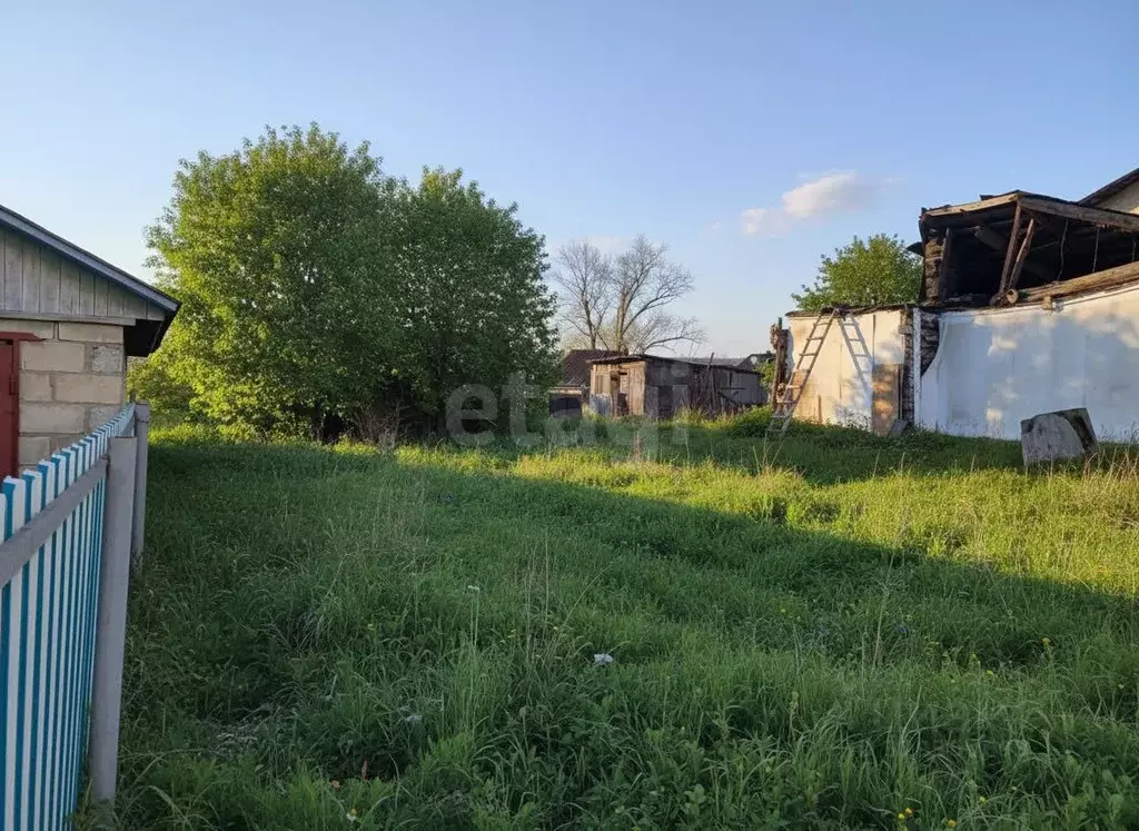 Участок в Башкортостан, Гафурийский район, Красноусольский сельсовет, ... - Фото 1