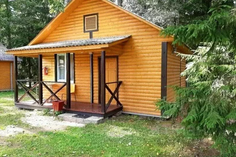 Дом в Ленинградская область, Лужский район, Скребловское с/пос, д. ... - Фото 1