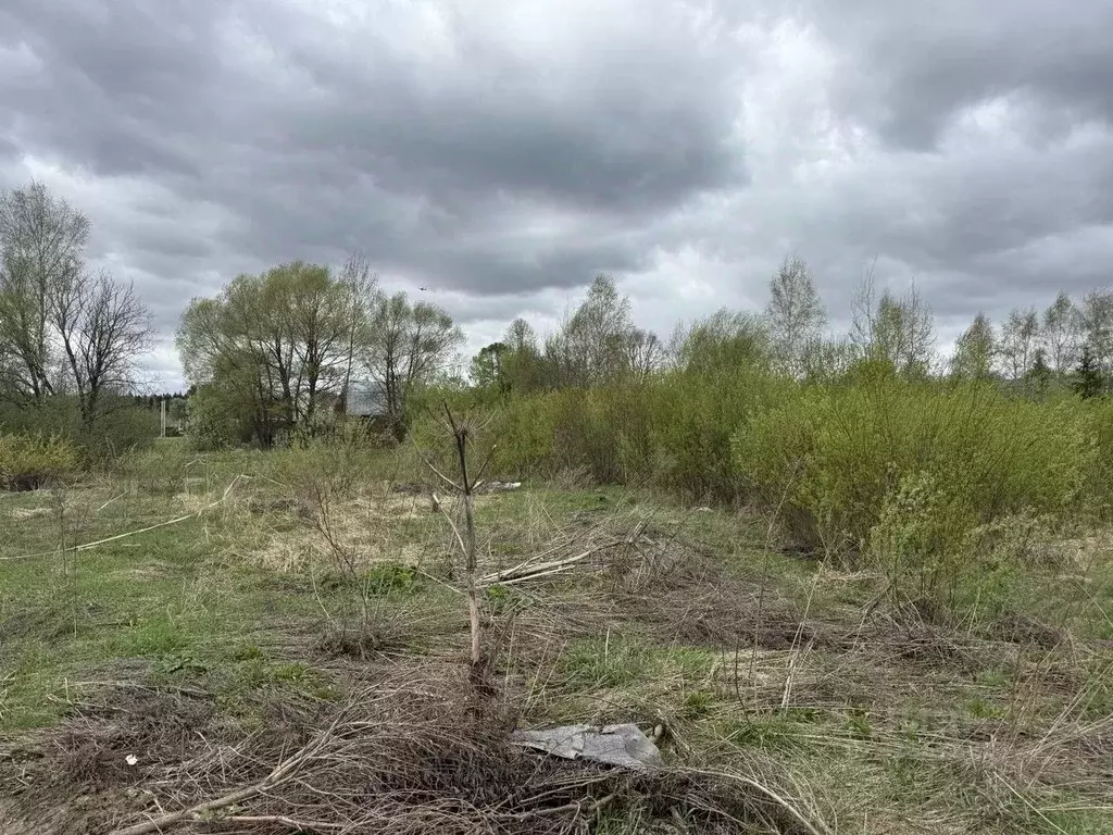 Участок в Московская область, Пушкинский городской округ, д. ... - Фото 0
