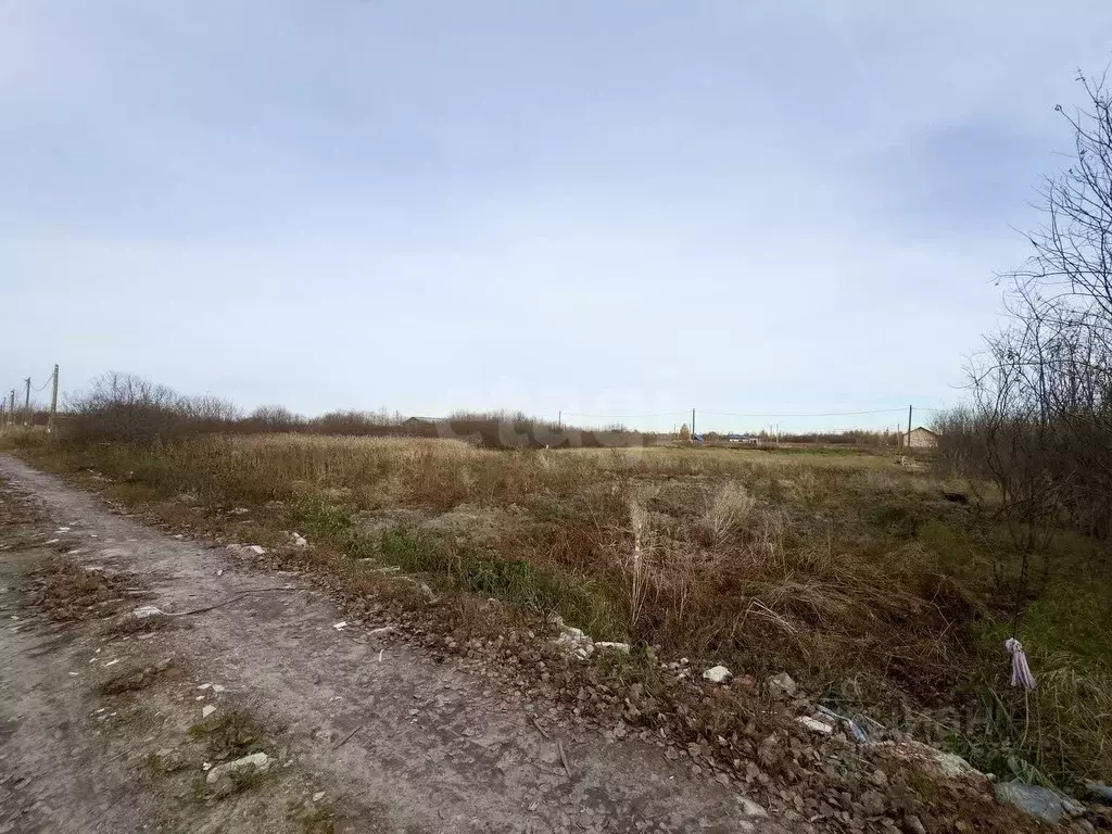 Участок в Тюменская область, Тюмень Большое Царево-1 СНТ, ул. Садовая ... - Фото 1