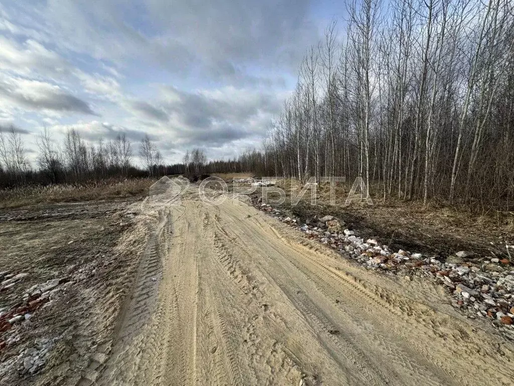 Участок в Тюменская область, Тюмень Березняки СНТ,  (6.6 сот.) - Фото 1