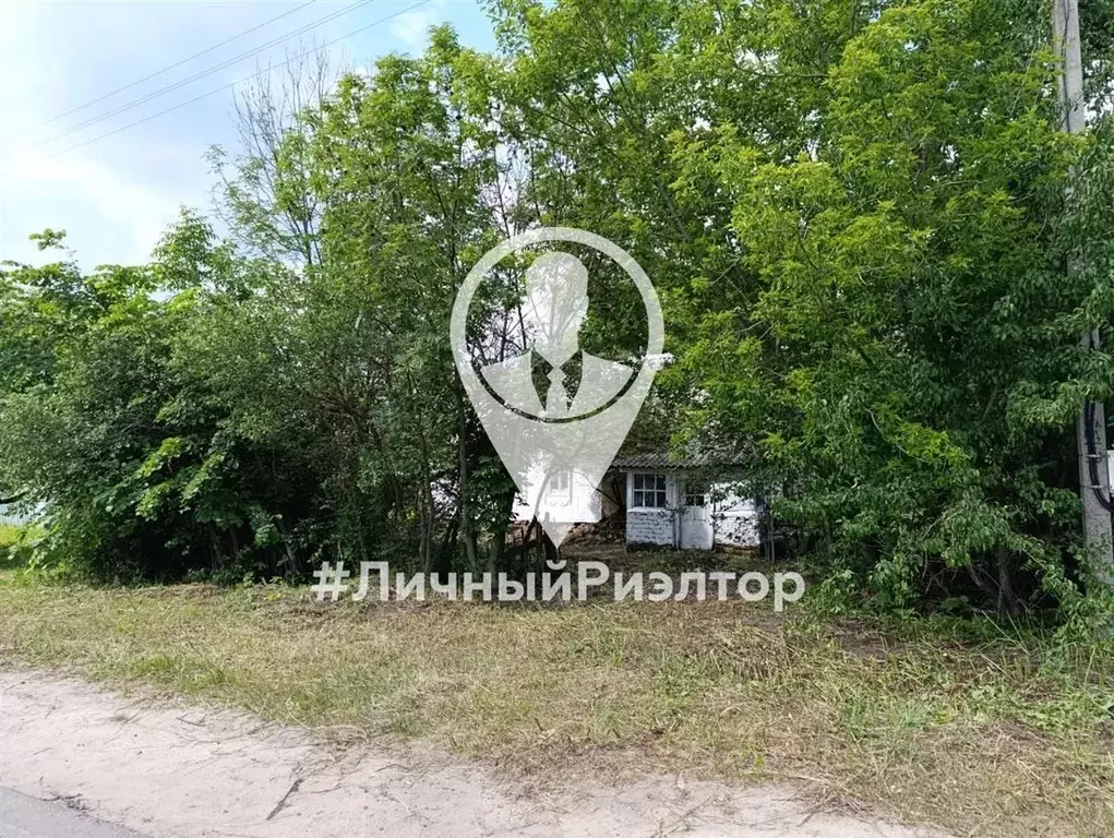 Дом в Рязанская область, Скопинский муниципальный округ, с. Пупки ул. ... - Фото 2