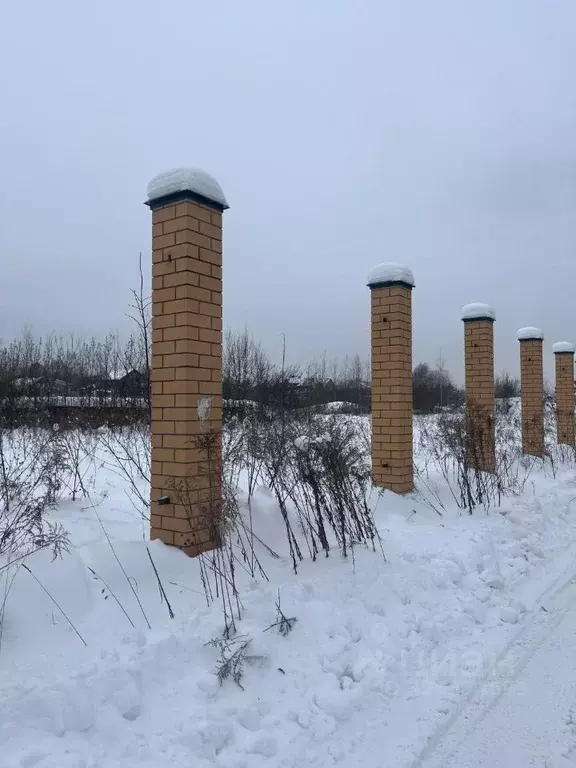 Участок в Московская область, Раменский муниципальный округ, д. Титово ... - Фото 2
