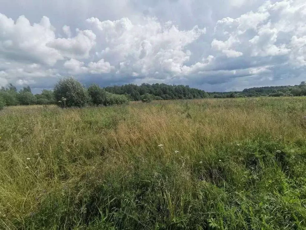 Участок в Пермский край, Пермский муниципальный округ, с. Платошино ... - Фото 1