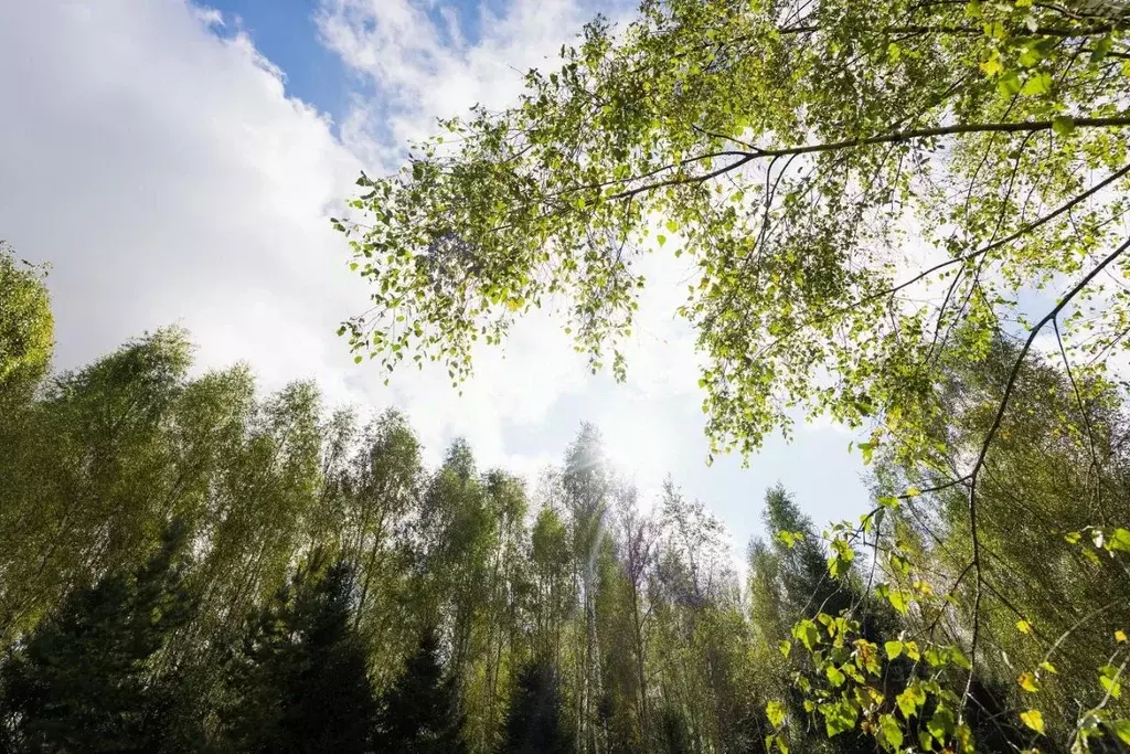 Участок в Московская область, Солнечногорск городской округ, д. ... - Фото 1